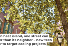 A tree canopy can make a big difference in temperature for people on the street below. The challenge is getting trees where they’re needed most. Andrey Denisyuk/Moment via Getty Images